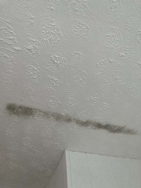 Why is this ceiling mould in a line? [pic]