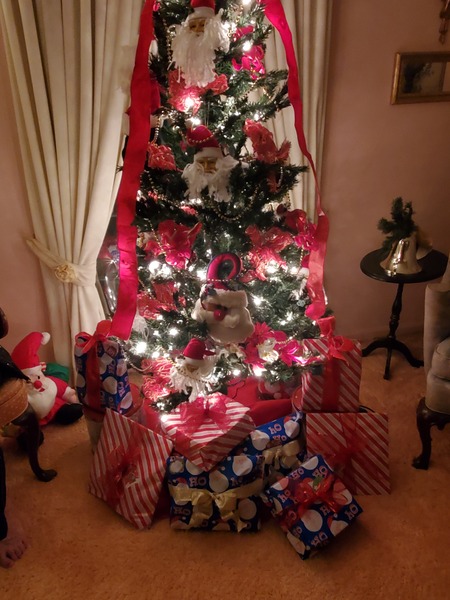 Do we have a show us your tree thread yet?