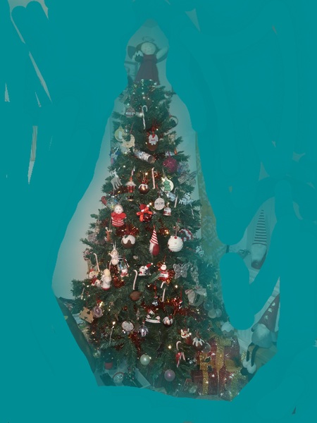 Do we have a show us your tree thread yet?