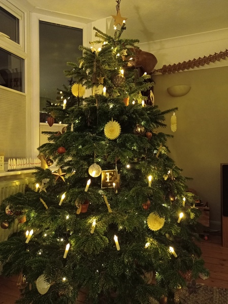Do we have a show us your tree thread yet?