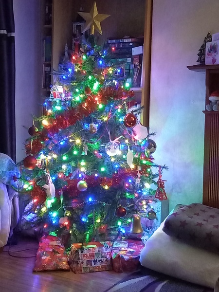 Do we have a show us your tree thread yet?