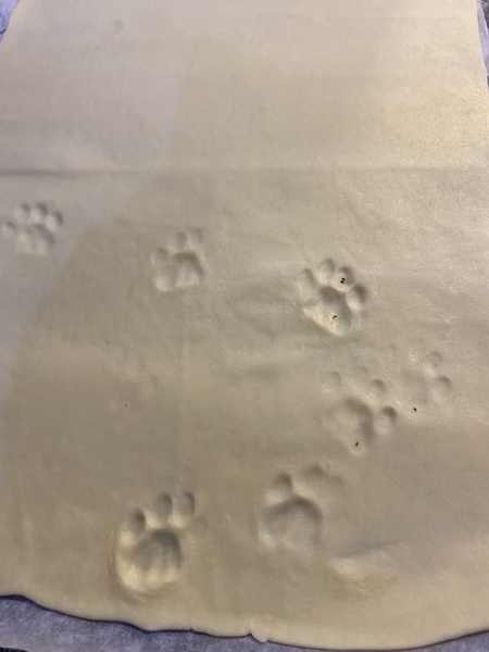 AIBU to shut the kittens out of the kitchen permanently?