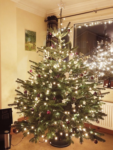 Is your Christmas tree coordinated glory or a mismatch of decorations from the years?