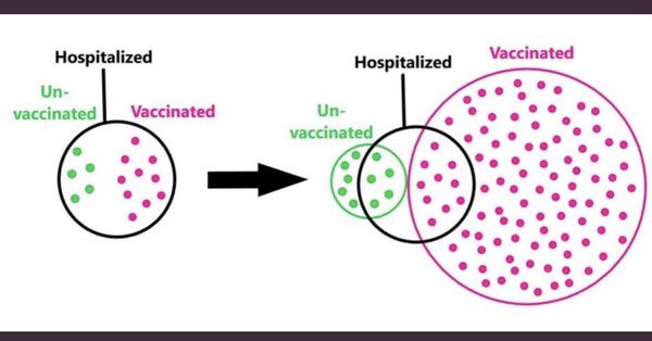 Omg my social media feeds are going crazy!