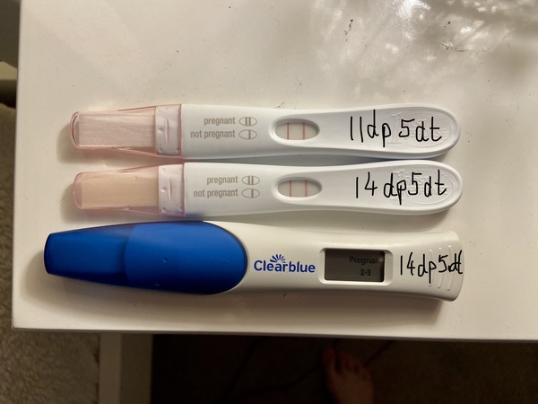 3dp5dt and I have no symptoms this time. I can’t tell if this is a good or bad thing!