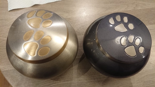 Cat ashes