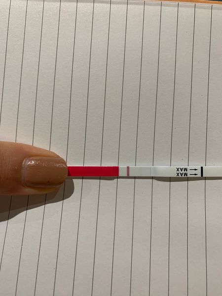 Due August 2022 ☀️