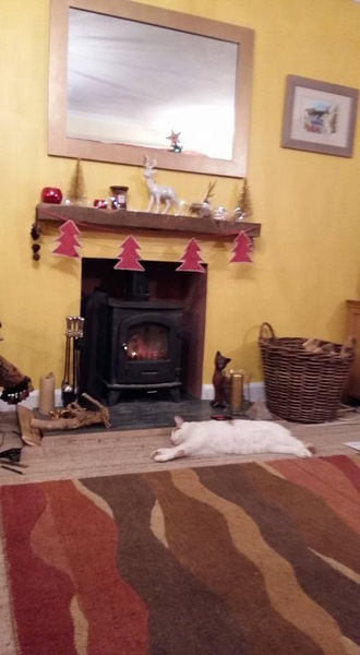 Can we please see pictures of your fireplaces and log burners ?
