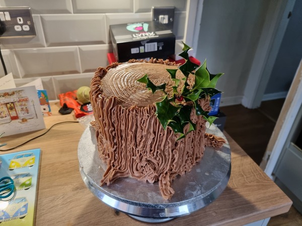 What do you think of my Christmas Cake?