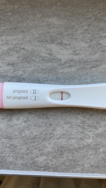 11th cycle, is this it…?