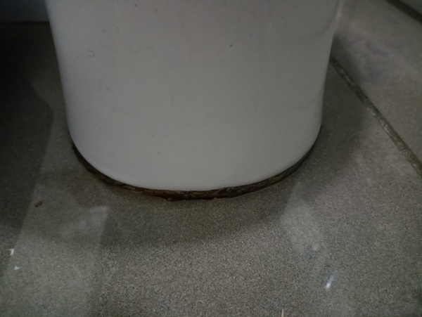 Water at bottom of toilet