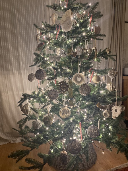 Do we have a show us your tree thread yet?