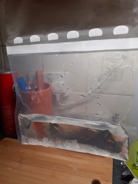 Water collected in wardrobe