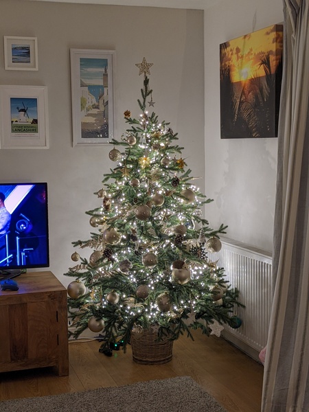 Do we have a show us your tree thread yet?