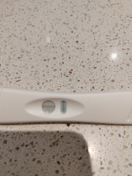 Pregnant? Recurrent miscarriages, possible POI.