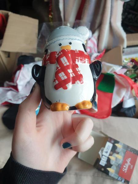 Does anyone have an unwanted/unloved match for my penguin?