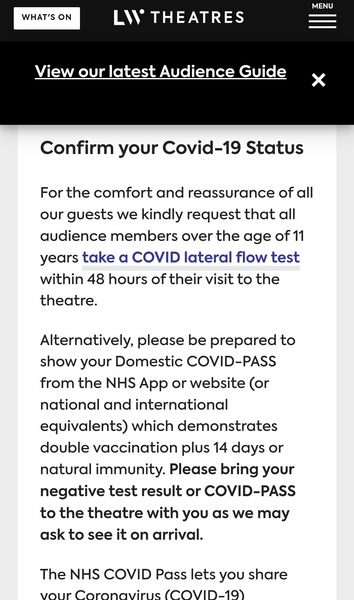 Teenager’s pass for theatre