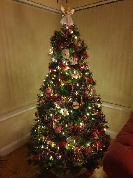 Do we have a show us your tree thread yet?