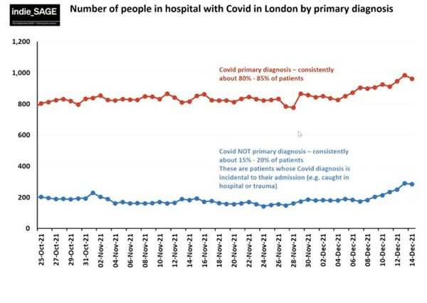 Data, Stats and Daily Numbers started 17th December