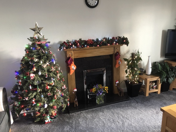 Is your Christmas tree coordinated glory or a mismatch of decorations from the years?