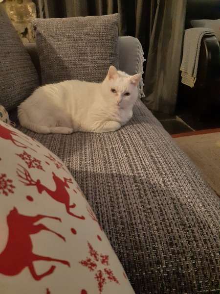 WHY IS SHE STARING AT ME???