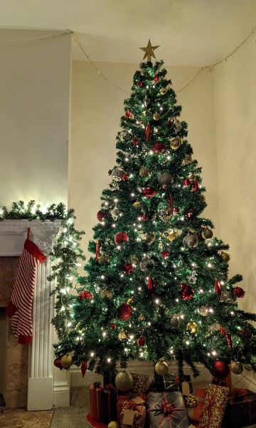 Do we have a show us your tree thread yet?