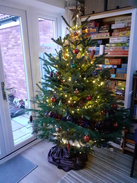Do we have a show us your tree thread yet?