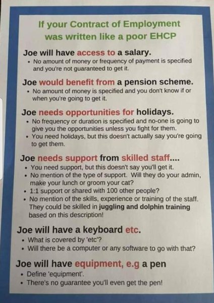 EHCP agreed for DD (17) - advice needed please on draft plan (which I think may not be fit for purpose)