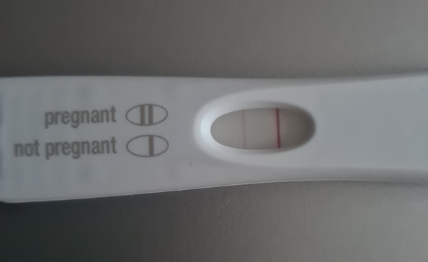 Due July/August 2022