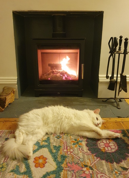 Can we please see pictures of your fireplaces and log burners ?