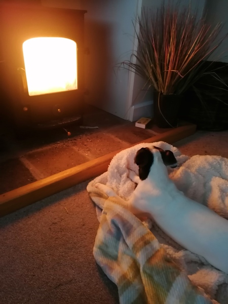 Can we please see pictures of your fireplaces and log burners ?