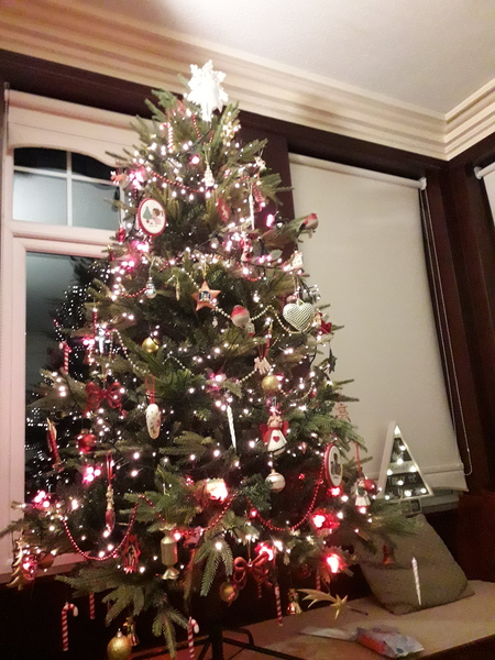 Do we have a show us your tree thread yet?