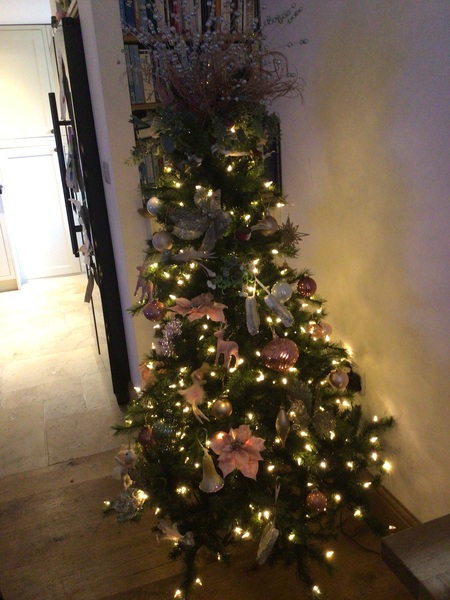 Do we have a show us your tree thread yet?