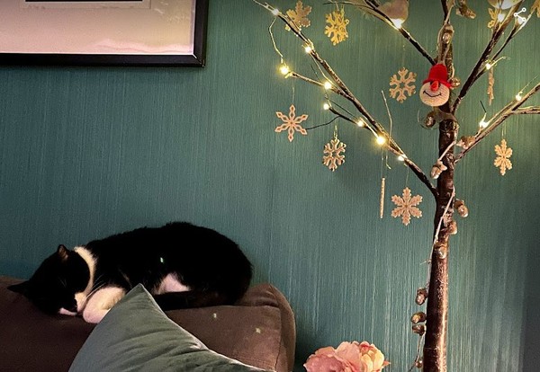 Week 8 - Our final week! - Low Carb Bootcamp