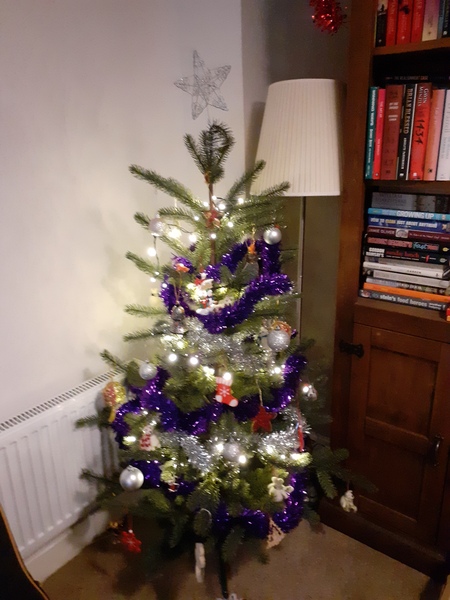 Do we have a show us your tree thread yet?