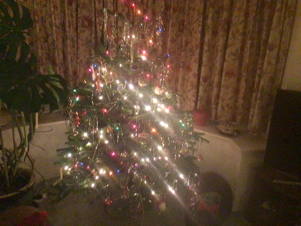 Do we have a show us your tree thread yet?