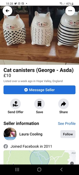 I’ve smashed my cat shaped canister
