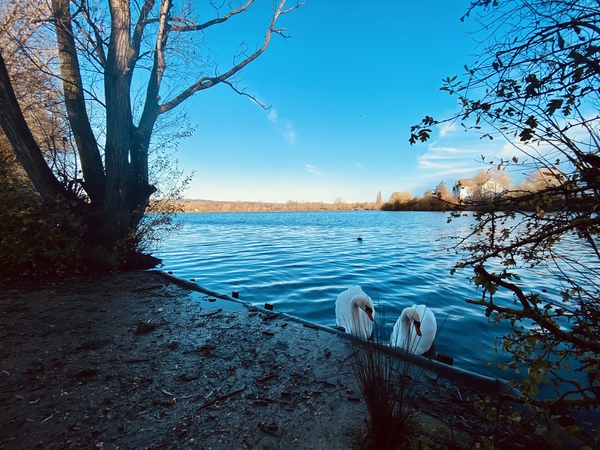 So, who's doing Parkrun in the morning?