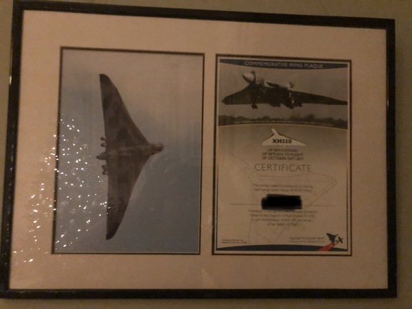 Thread 28 - the one with the amarillo bulb and winter cheery plants