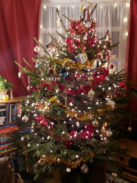 Do we have a show us your tree thread yet?