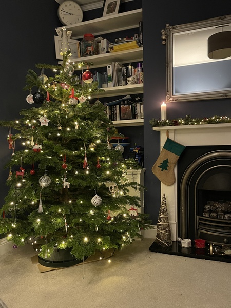 Do we have a show us your tree thread yet?