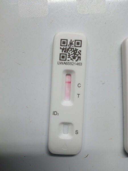 Is this test just flooded or positive