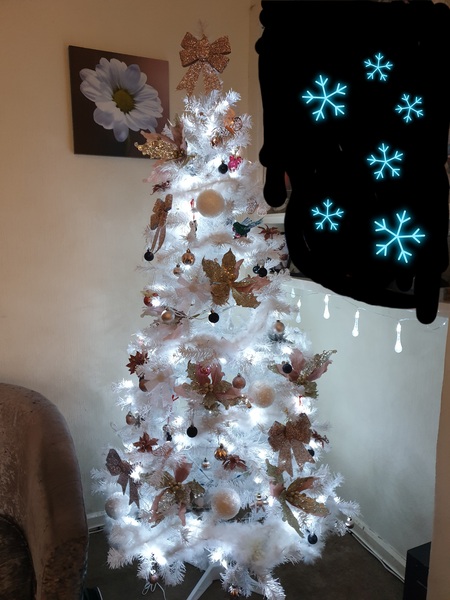 Do we have a show us your tree thread yet?