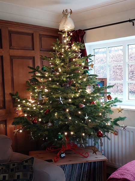 Do we have a show us your tree thread yet?