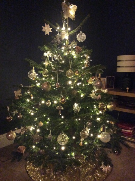 Christmas tree pics - show us your tree!