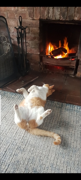 Can we please see pictures of your fireplaces and log burners ?