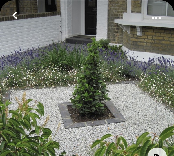 Help me up my kerb appeal! (Pic)