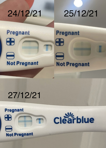Line eyes 11DPO