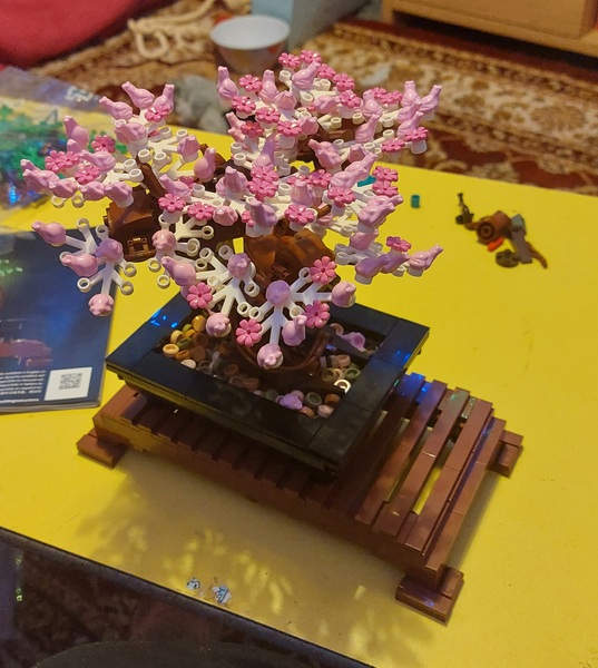 Bonsai Tree chat
