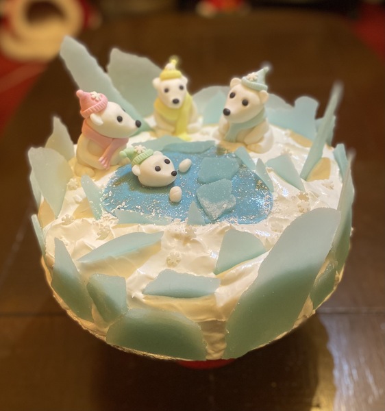 Just finished decorating my Christmas cake! Anyone else want to share a pic of theirs?